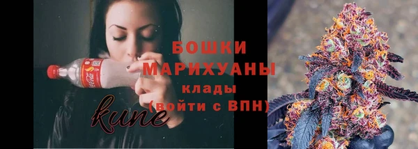 дмт Костерёво