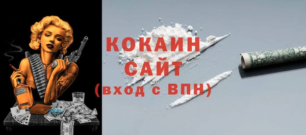 дмт Костерёво