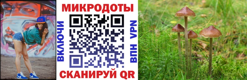 Купить где  Красноармейск  Галлюциногенные грибы GOLDEN TEACHER 